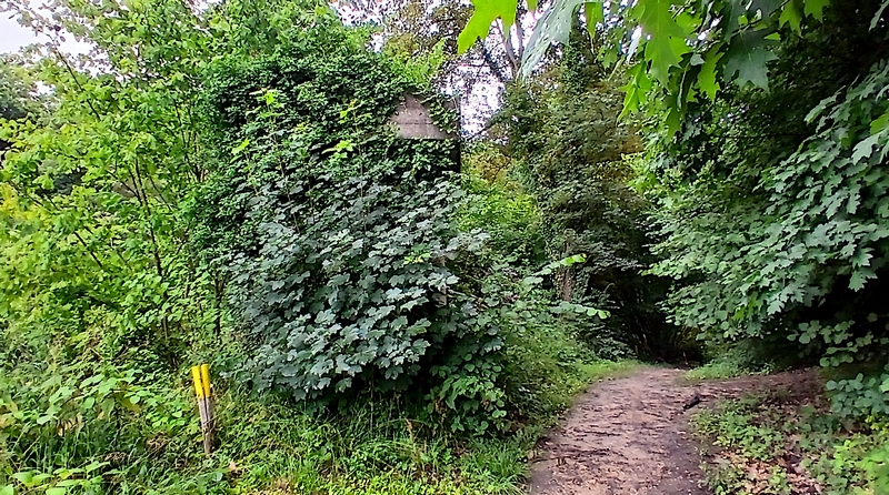 BPA 0726 Valkenburg 20250722 124418