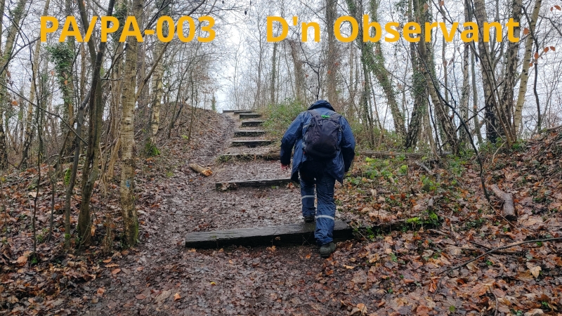 pa pa 003 dn observant 2 800