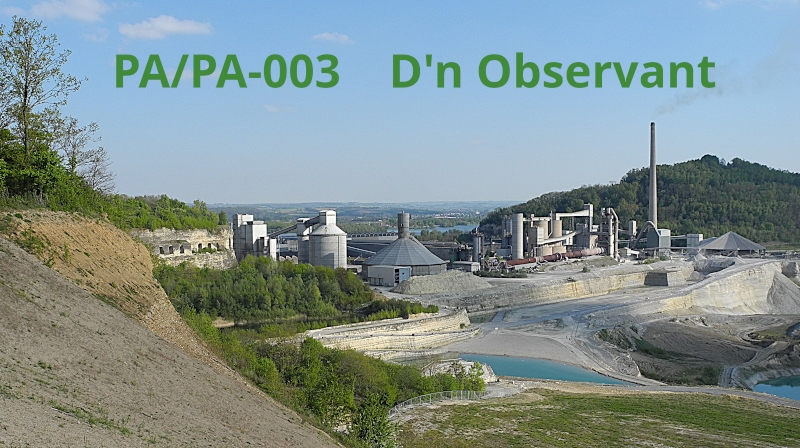 pa pa 003 dn observant 3 800